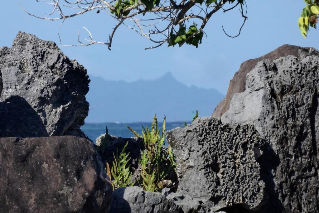 Raiatea, Opoa, Studio Du Fare Reve, Acces Mer Privatif Bagian luar foto