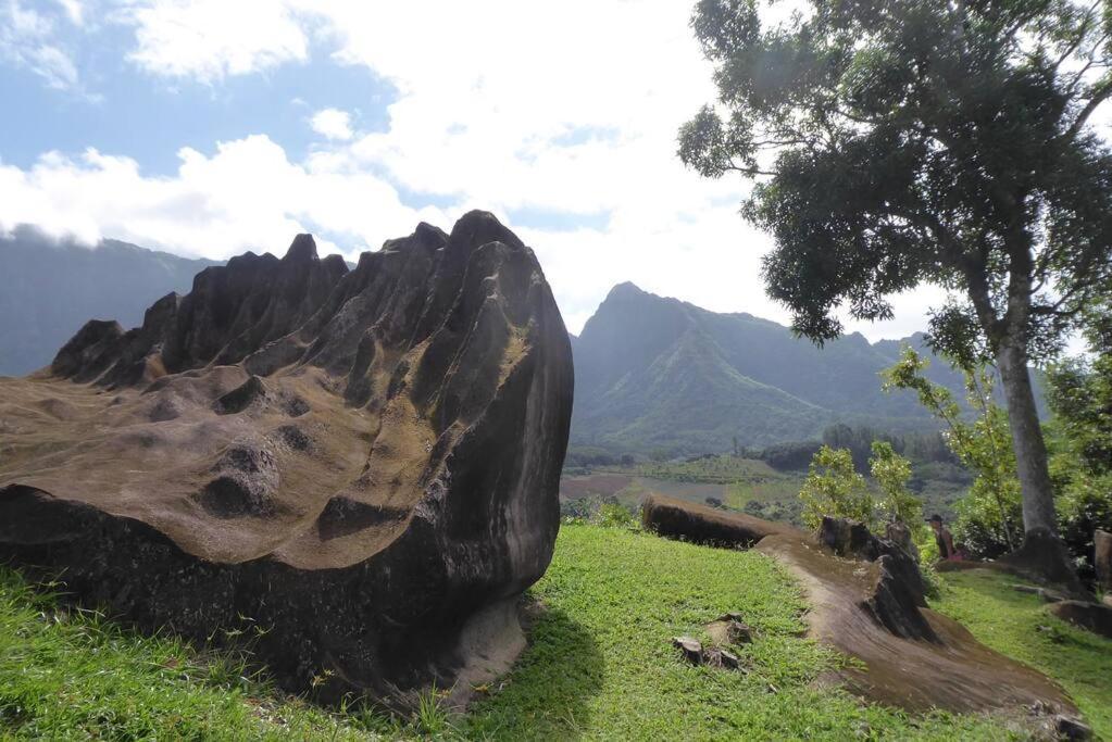 Raiatea, Opoa, Studio Du Fare Reve, Acces Mer Privatif Bagian luar foto