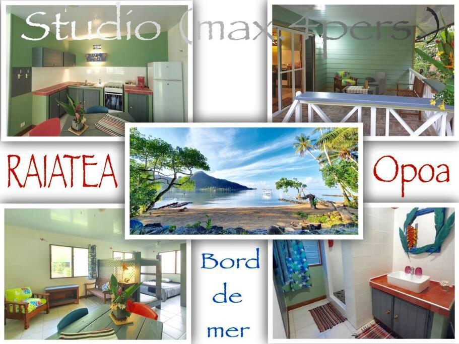 Raiatea, Opoa, Studio Du Fare Reve, Acces Mer Privatif Bagian luar foto
