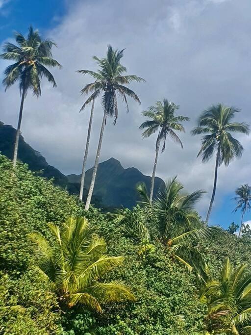 Raiatea, Opoa, Studio Du Fare Reve, Acces Mer Privatif Bagian luar foto