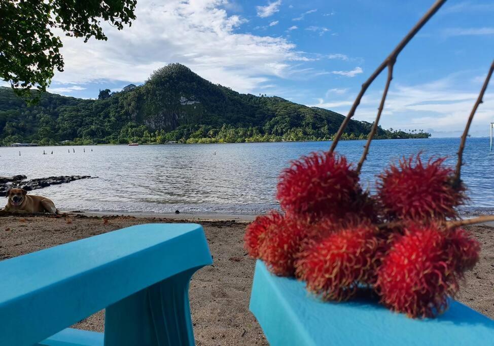 Raiatea, Opoa, Studio Du Fare Reve, Acces Mer Privatif Bagian luar foto